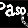 I Love My Paso Fino Vinyl Sticker
