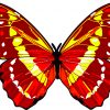 Butterfly Vinyl Sticker