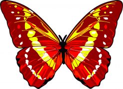 Butterfly Vinyl Sticker