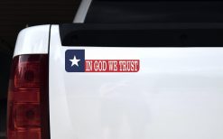 Texas Flag in God We Trust Magnet