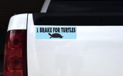 I Brake for Turtles Magnet