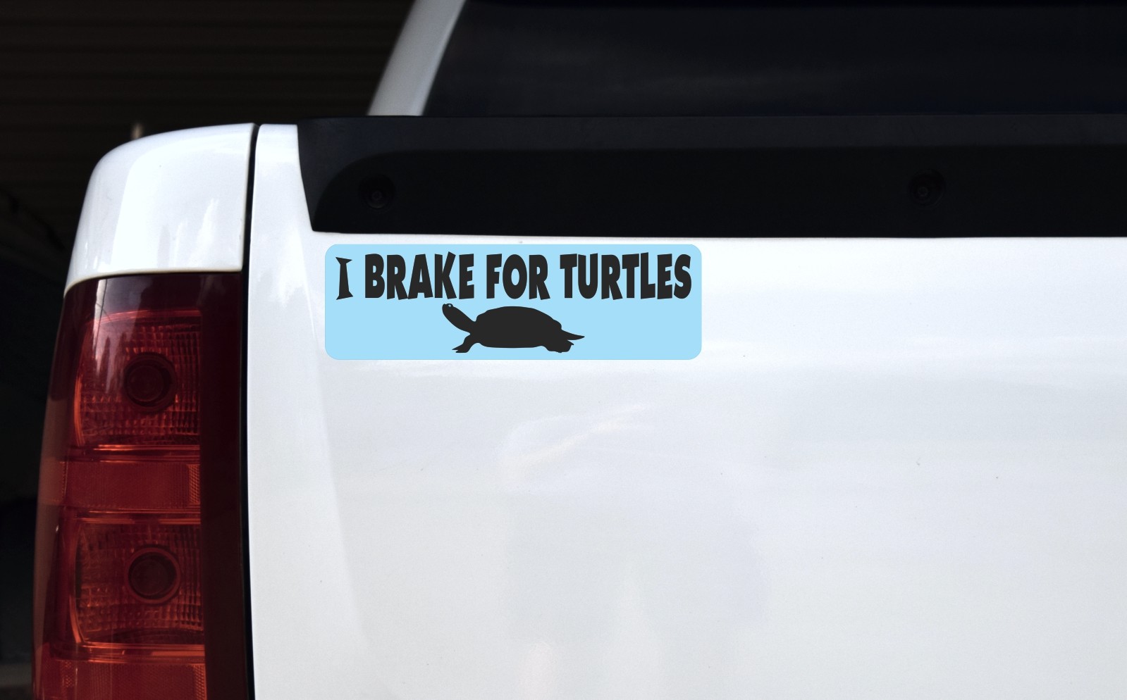 I Brake for Turtles Vinyl Sticker