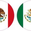 Circular Mexican Flag Vinyl Stickers