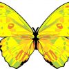Butterfly Vinyl Sticker