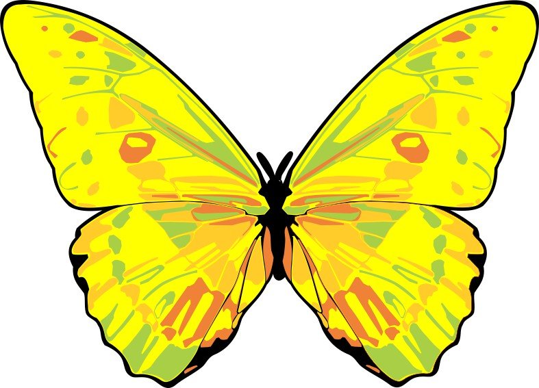 Butterfly Vinyl Sticker