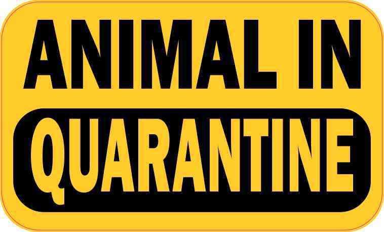Animal in Quarantine Magnet