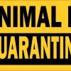 Animal in Quarantine Vinyl Sticker