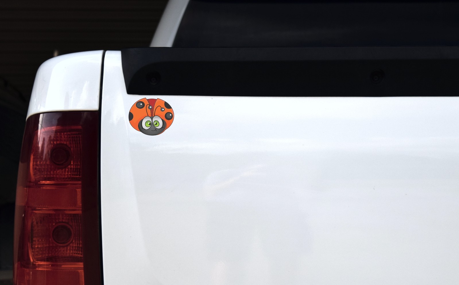 Colorful Ladybug Vinyl Stickers