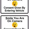Smile You Are on Camera Vinyl Stickers