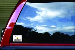 Smile You Are on Camera Vinyl Sticker