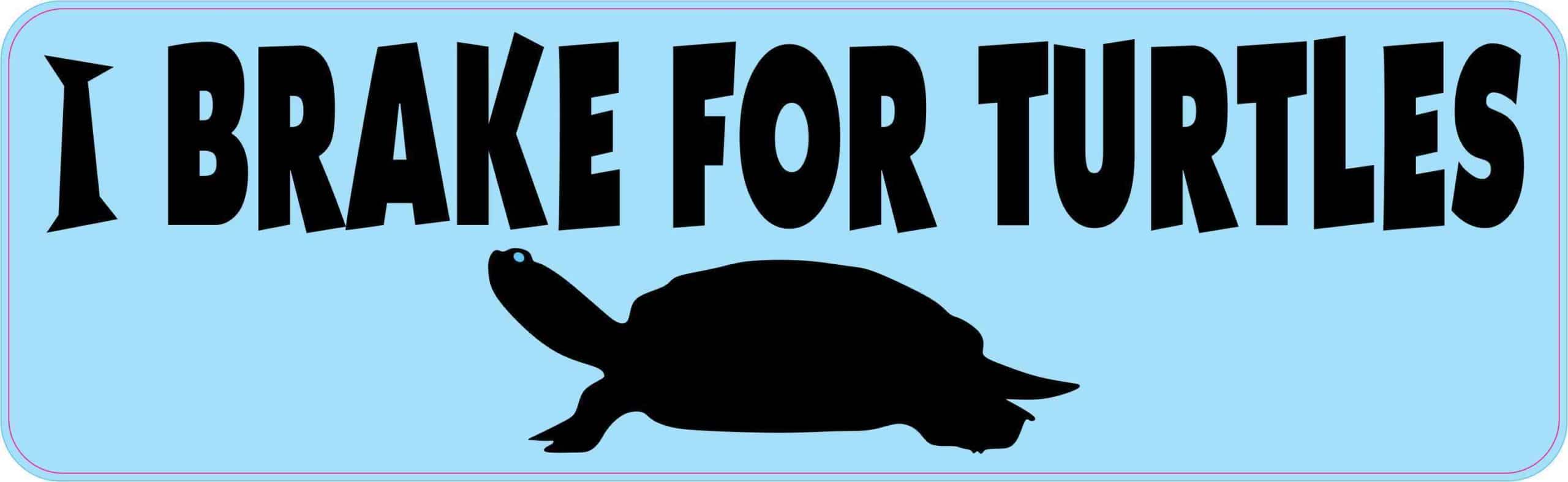 I Brake for Turtles Magnet