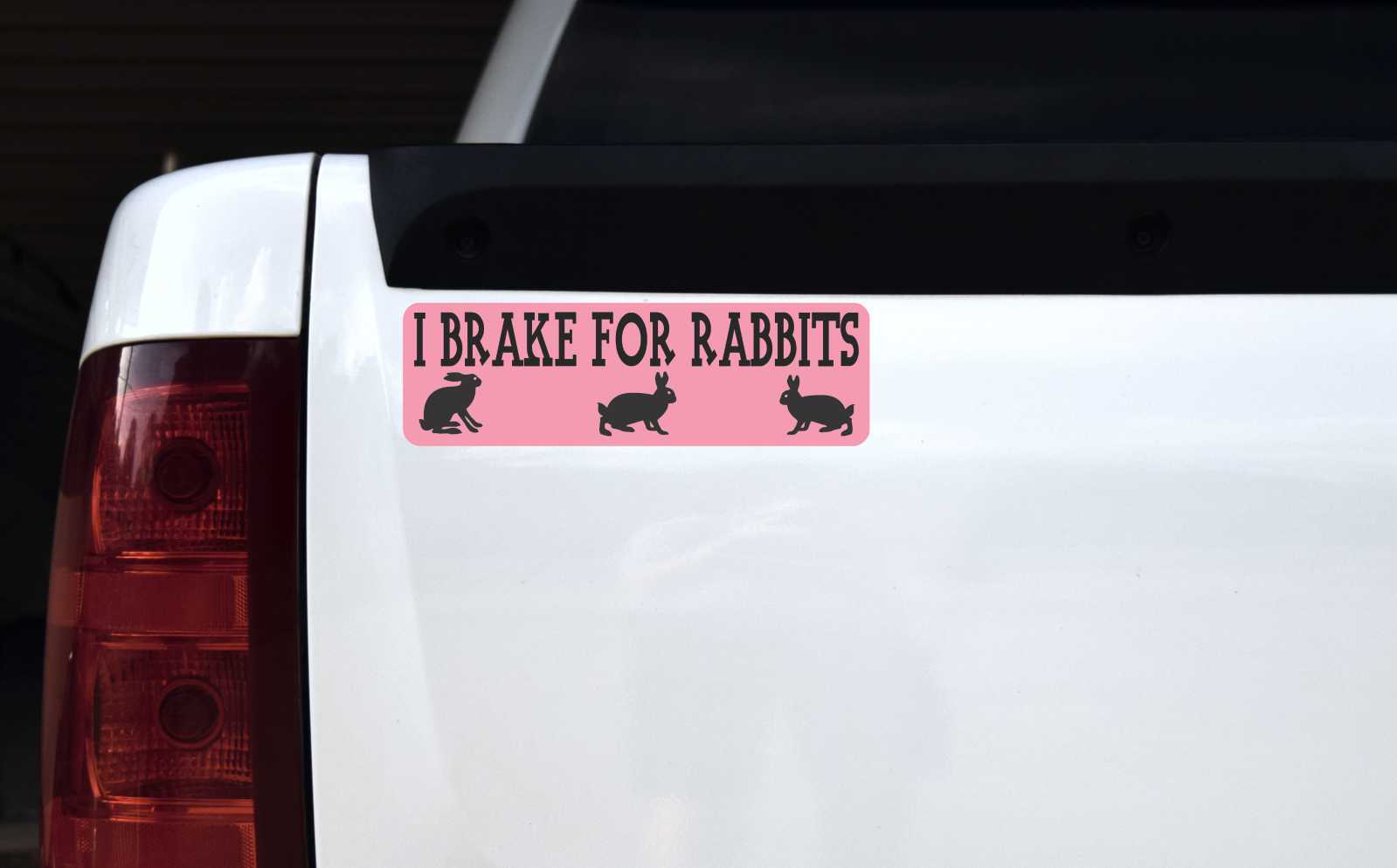 I Brake for Rabbits Magnet