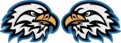 Eagle Mascot Vinyl Stickers