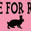 I Brake for Rabbits Magnet