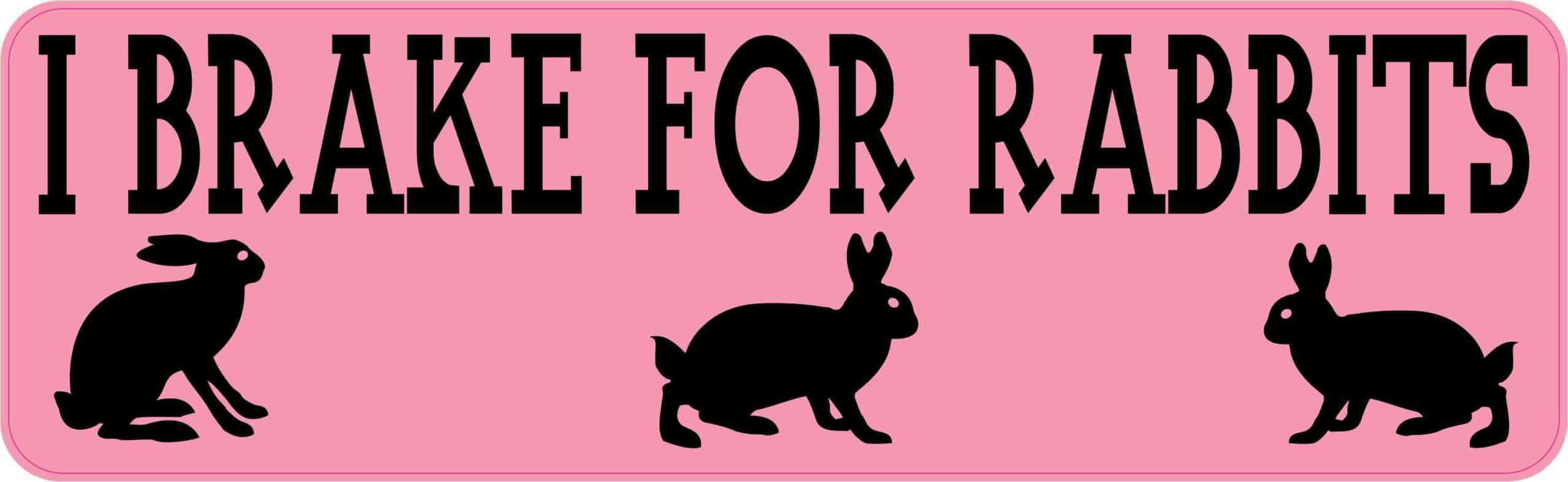 I Brake for Rabbits Magnet