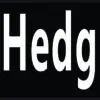 I Love Hedgehogs Magnet