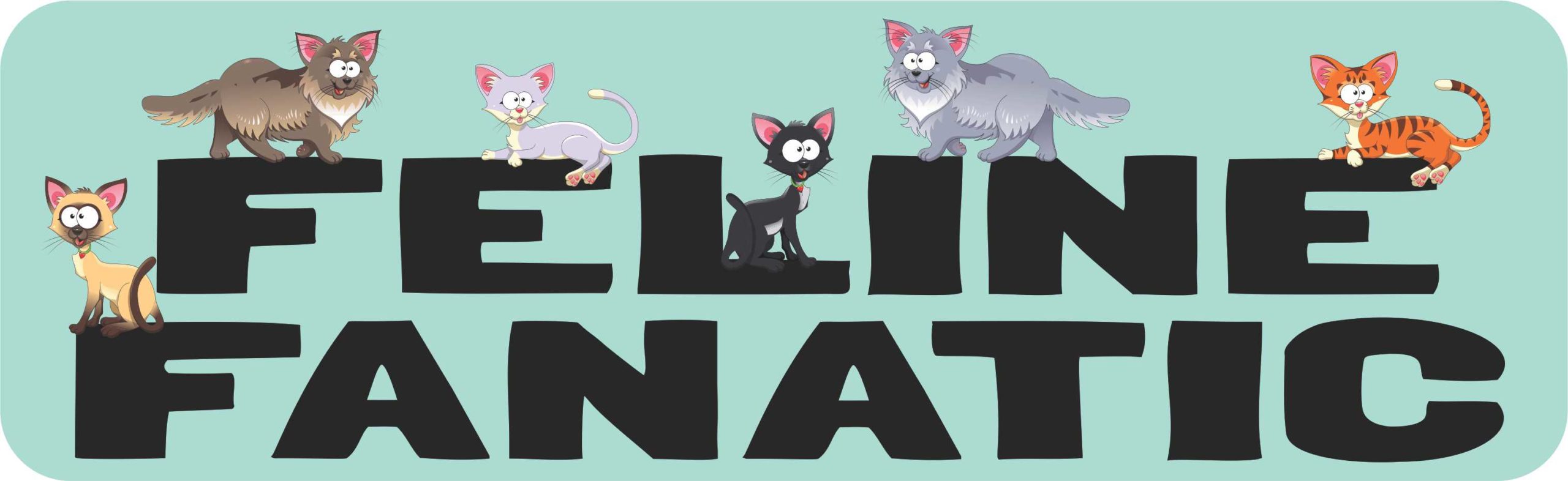 Feline Fanatic Magnet