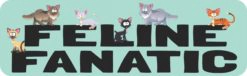 Feline Fanatic Vinyl Sticker