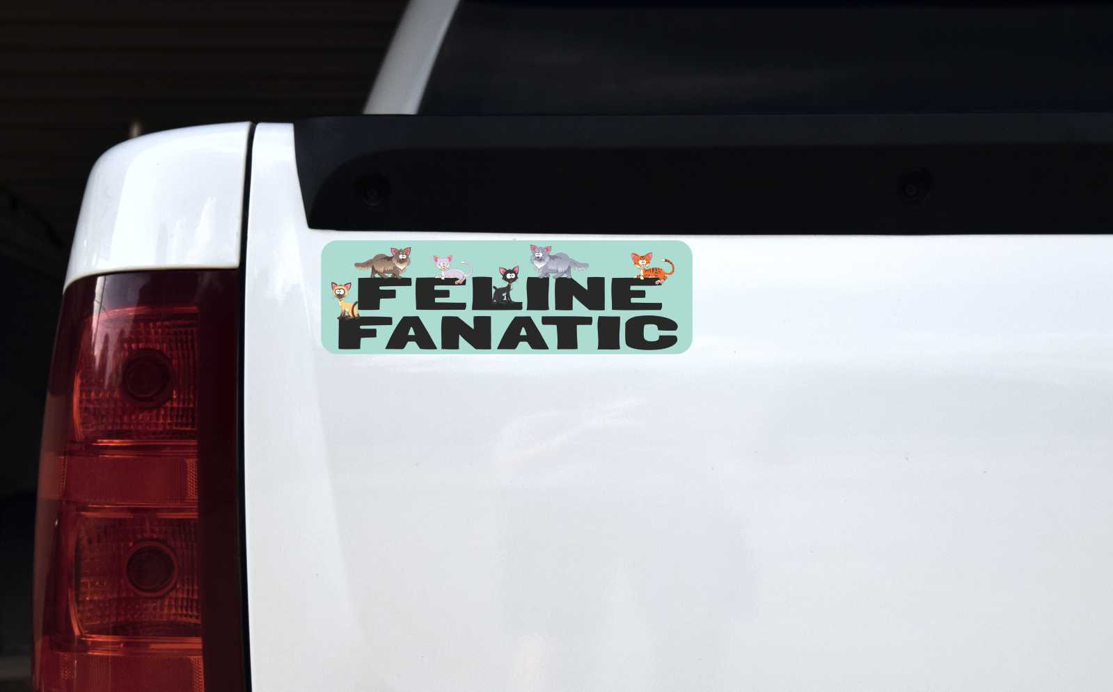 Feline Fanatic Magnet