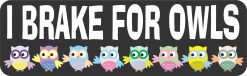 I Brake for Owls Magnet