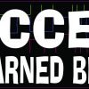 Success Is an Earned Behavior Vinyl Sticker