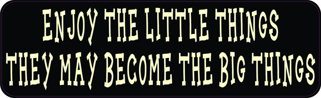 Enjoy the Little Things Vinyl Sticker