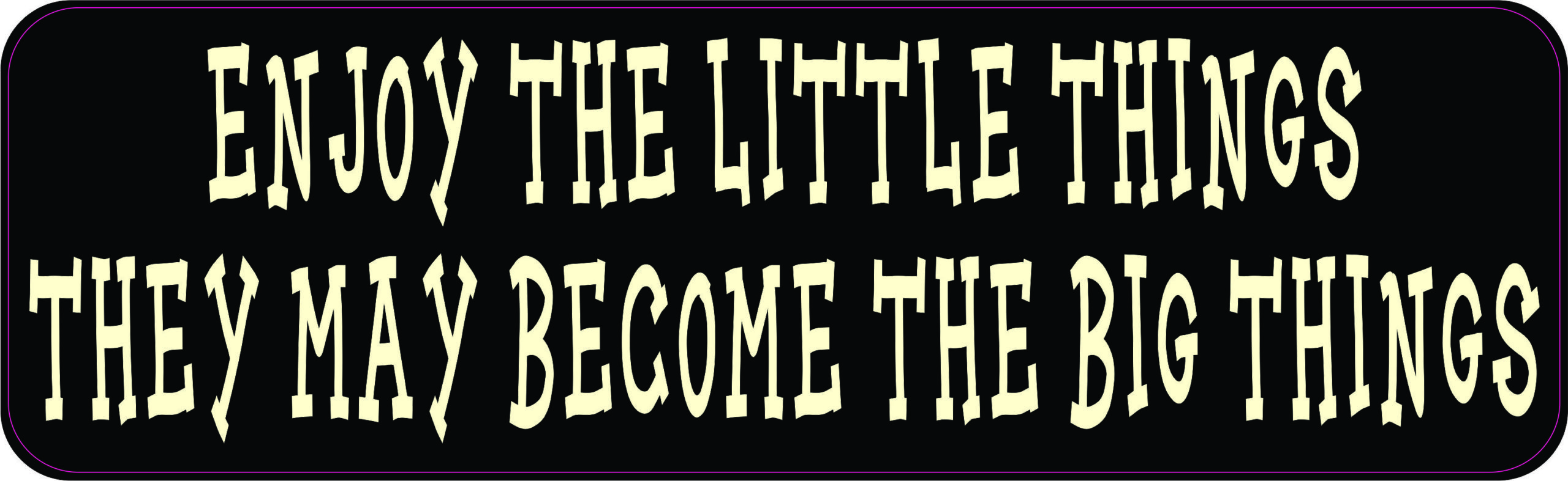 Enjoy the Little Things Magnet