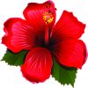 Red Hibiscus Vinyl Sticker