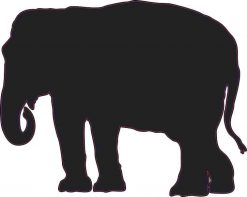 Elephant Silhouette Vinyl Sticker