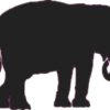 Elephant Silhouette Vinyl Sticker