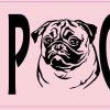 Crazy Pug Lady Magnet