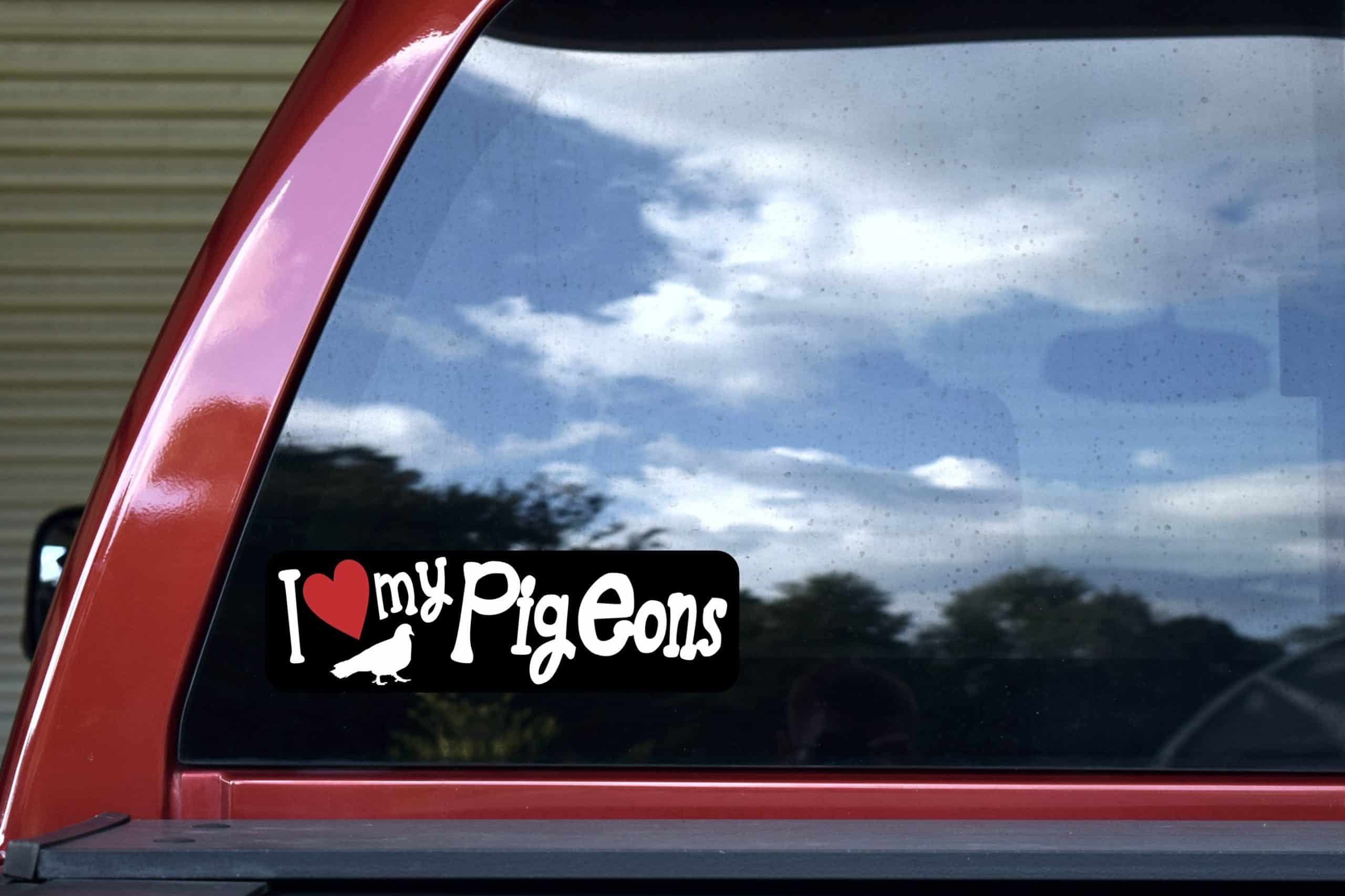 10in x 3in I Love My Pigeons Magnet - Image 4
