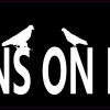 Pigeons on Board Vinyl Sticker