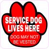 Service Dog Lives Here Magnet