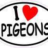 Oval I Love Pigeons Vinyl Sticker