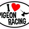 Oval I Love Pigeon Racing Vinyl Sticker