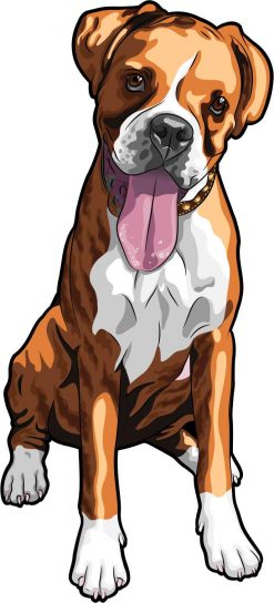Boxer Vinyl Sticker