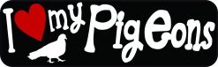 I Love My Pigeons Vinyl Sticker