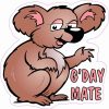 G'Day Mate Koala Vinyl Sticker