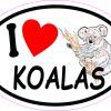 Oval I Love Koalas Vinyl Sticker
