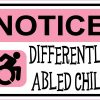 Pink Differently Abled Child Magnet