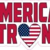 StickerTalk America Strong Vinyl Sticker, 8 inches x 5 inches