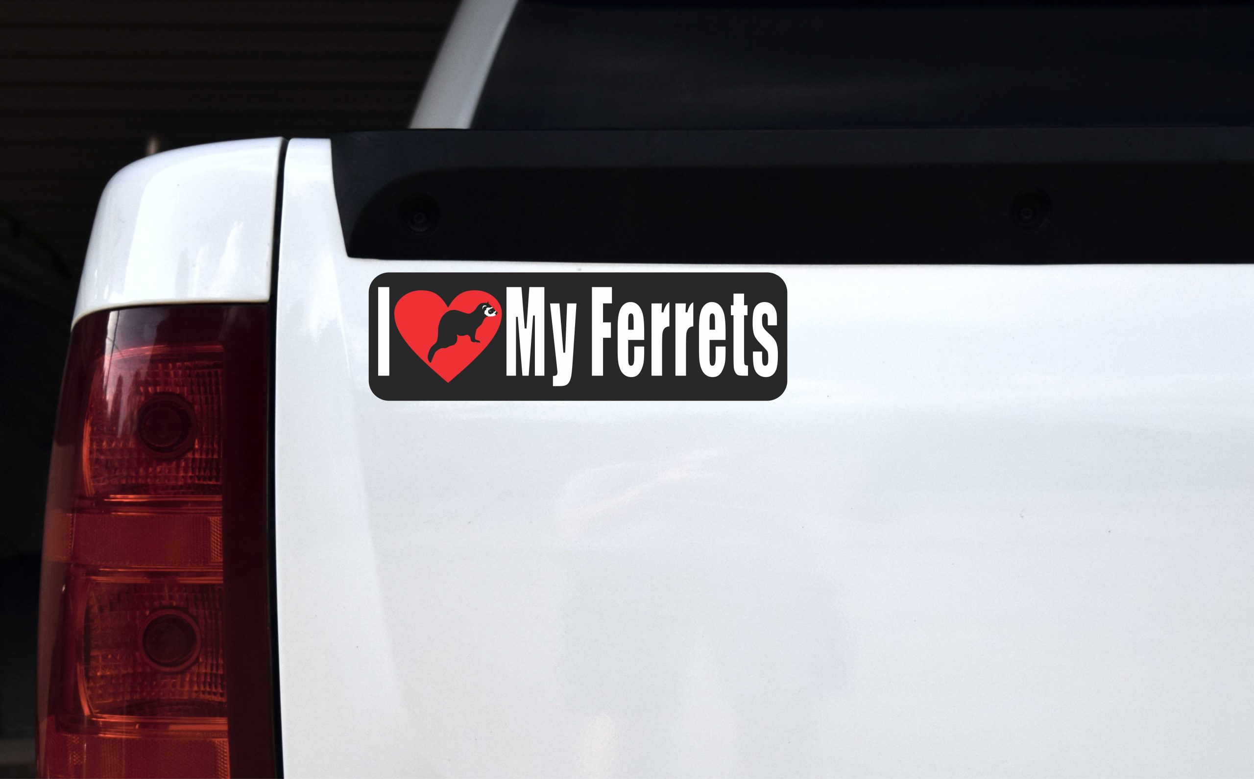I I Love My Ferrets Magnet