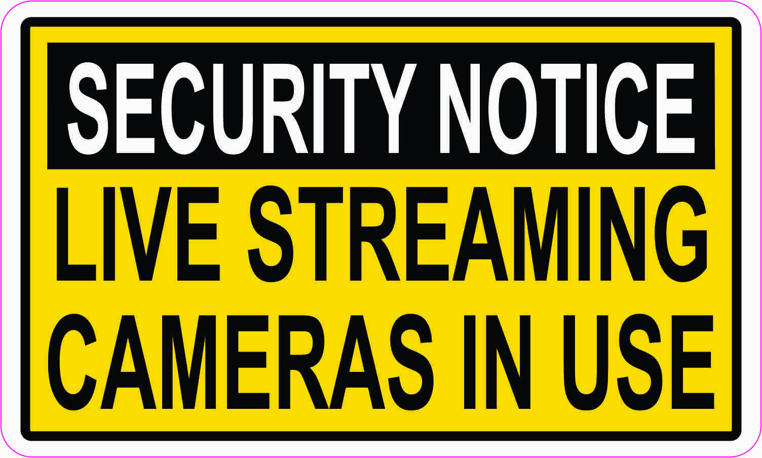 Live Streaming Cameras in Use Magnet