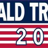Donald Trump 2020 Vinyl Sticker