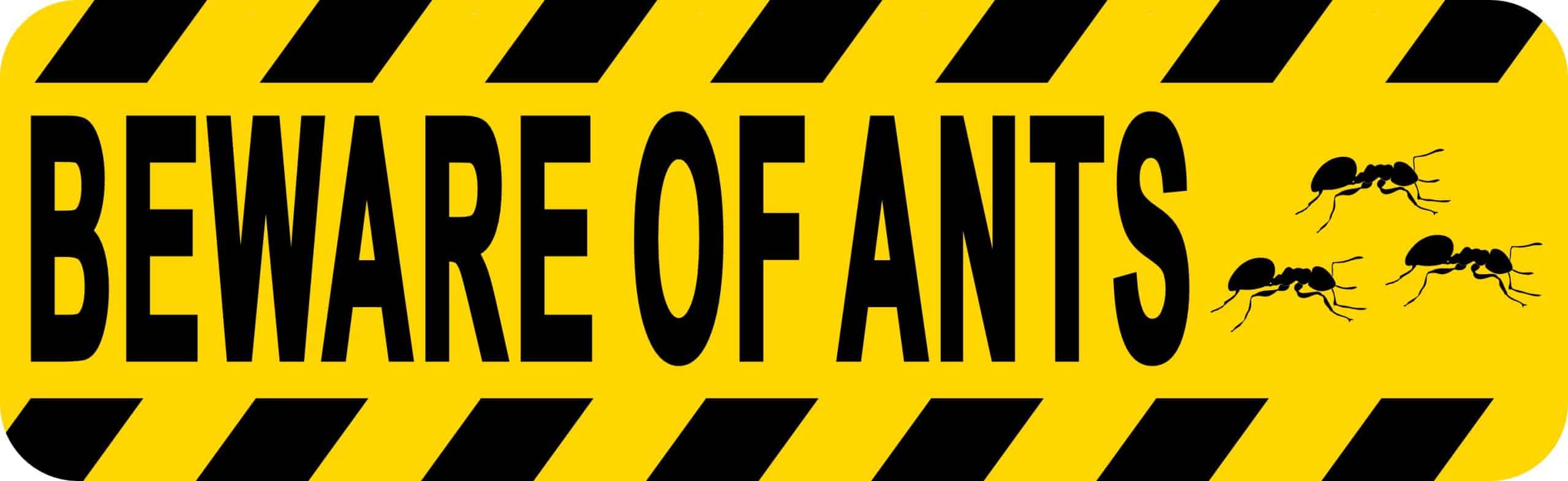 StickerTalk Beware of Ants Vinyl Sticker, 10 inches x 3 inches