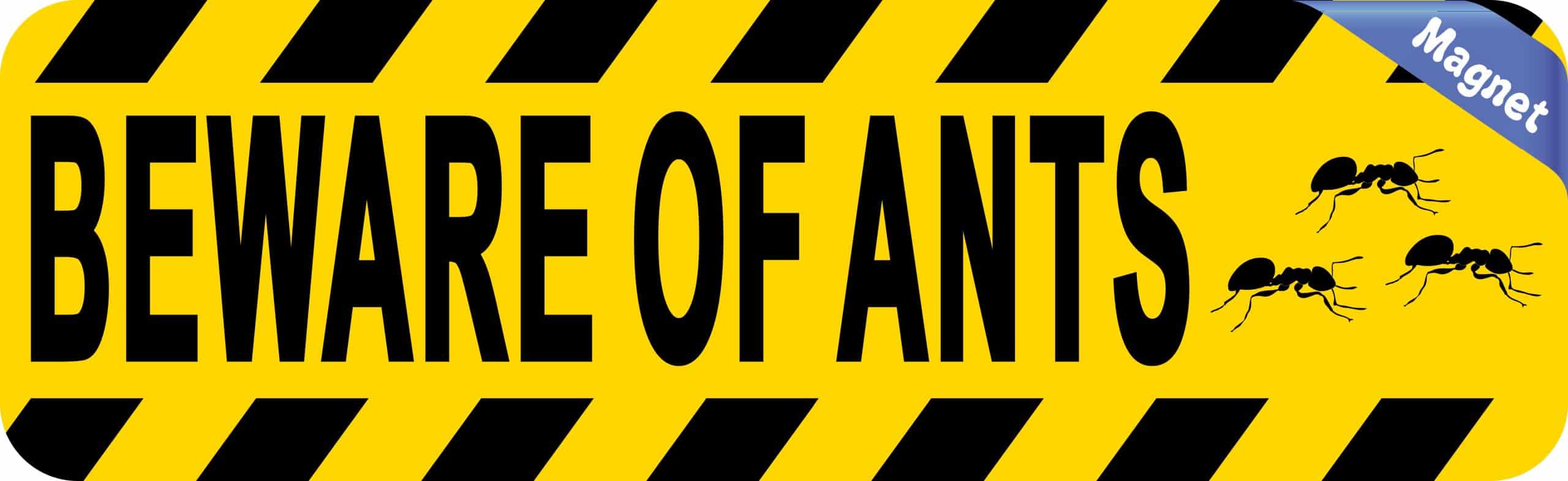 StickerTalk Beware of Ants Magnet, 10 inches x 3 inches - Image 2