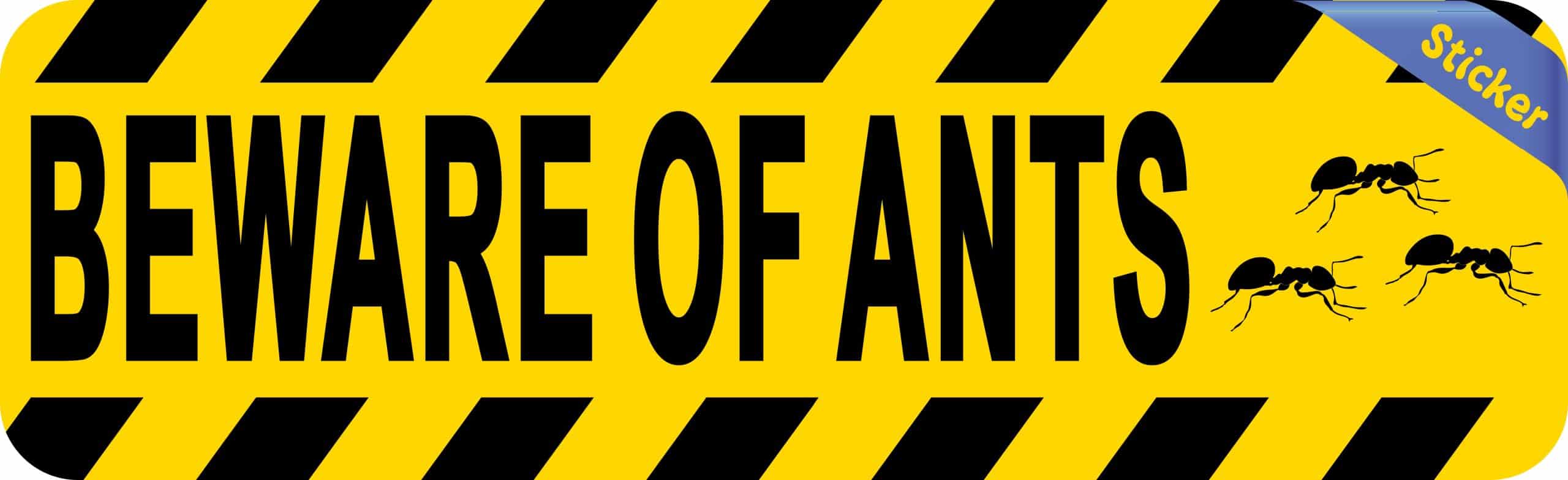 StickerTalk Beware of Ants Vinyl Sticker, 10 inches x 3 inches - Image 2