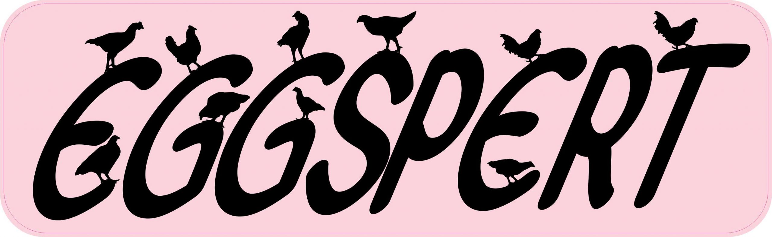 Chicken Eggspert Vinyl Sticker