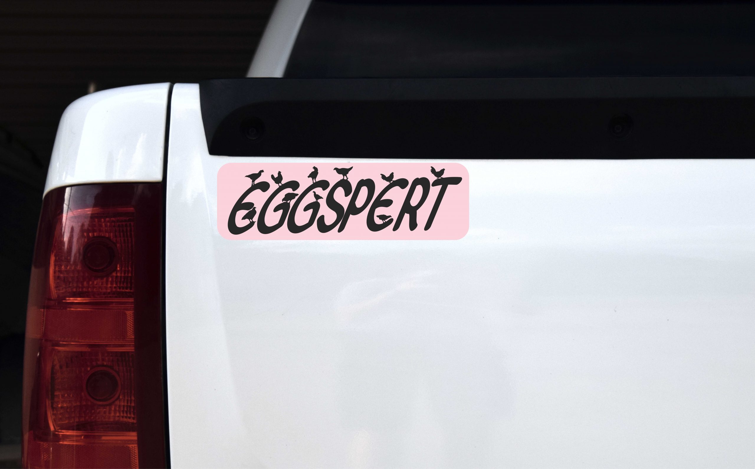 Chicken Eggspert Vinyl Sticker